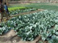 /album/galerie-de-photos-les-jardins/p1010785-jpg/
